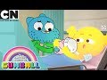 The Amazing World of Gumball | Prepare to Cringe | Cartoon Network